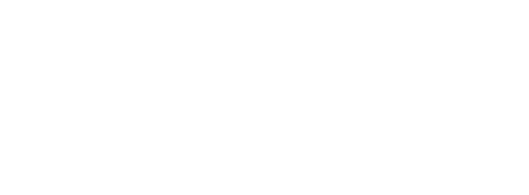 IDMS Logo